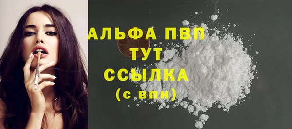 PSILOCYBIN Киренск