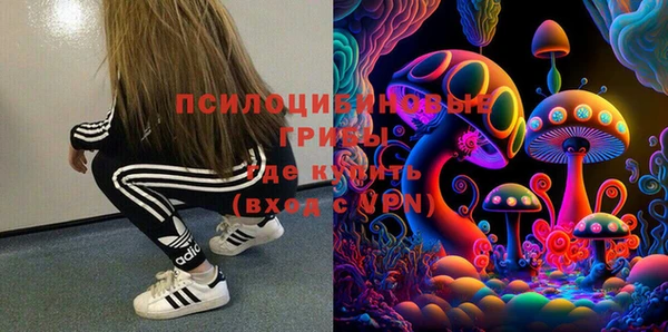 PSILOCYBIN Киренск