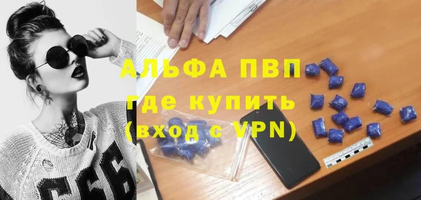 PSILOCYBIN Киренск