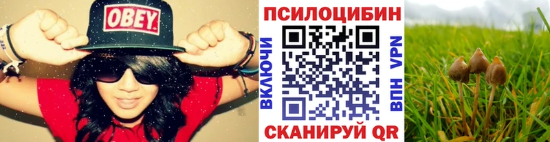 Псилоцибиновые грибы GOLDEN TEACHER  Купить закладки  Демидов 